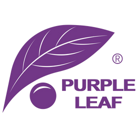 PURPLE LEAF NL