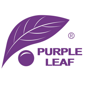 Purpleleaf Netherlands