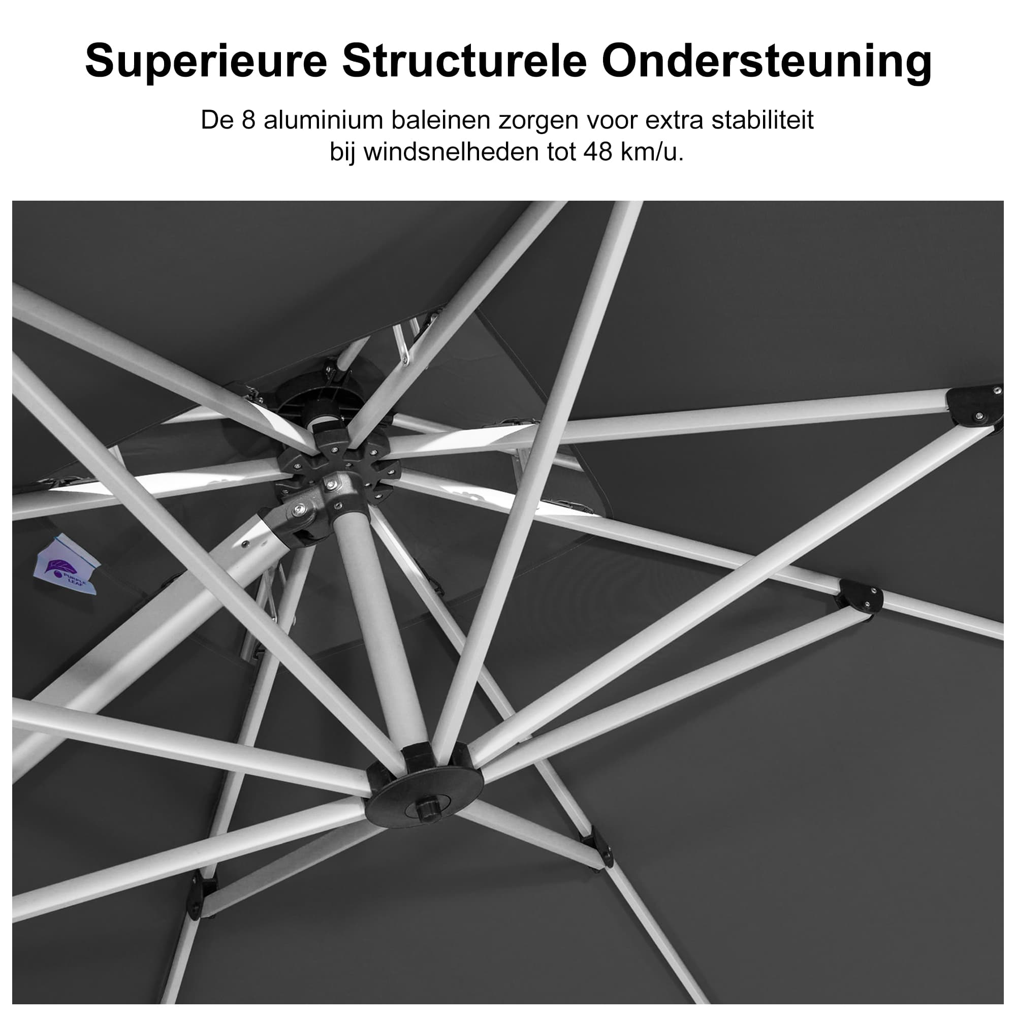 PURPLE LEAF Dubbel Top 270 x 330 / 270 x 365 / 300 x 365 / 300 x 400 cm Rechthoekige Outdoor Parasol